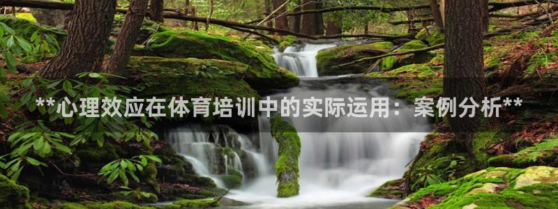 尊龙/人生就是博