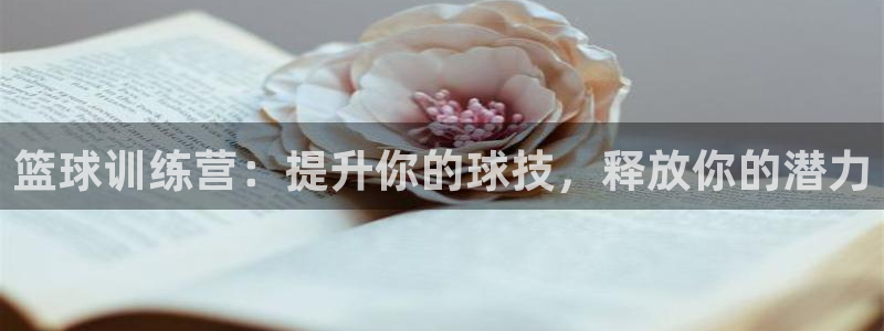 尊龙凯时开发