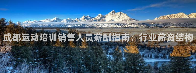 尊龙人生就是博下载：成都运动培训销售人员薪酬指南：行