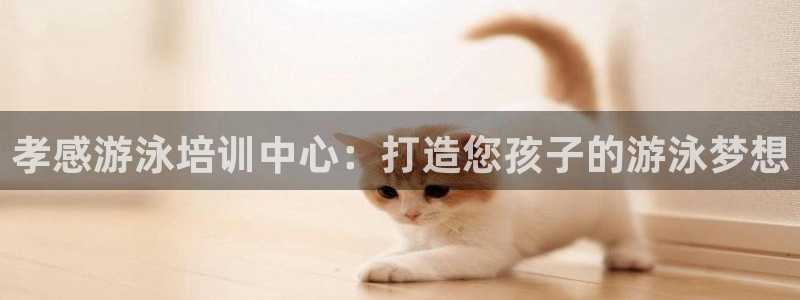 凯时官网下载客户端