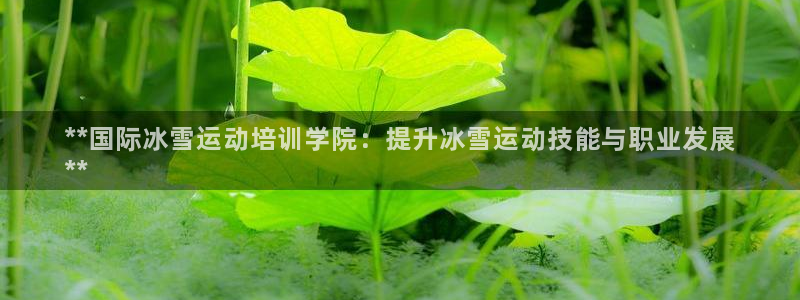 尊龙凯时的最新消息