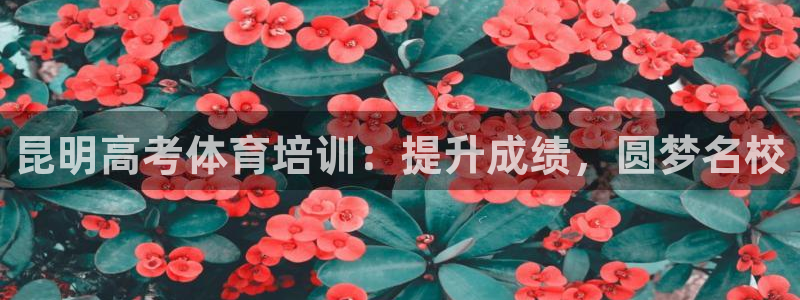 尊龙app怎么样：昆明高考体育培训：提升成绩，圆梦名