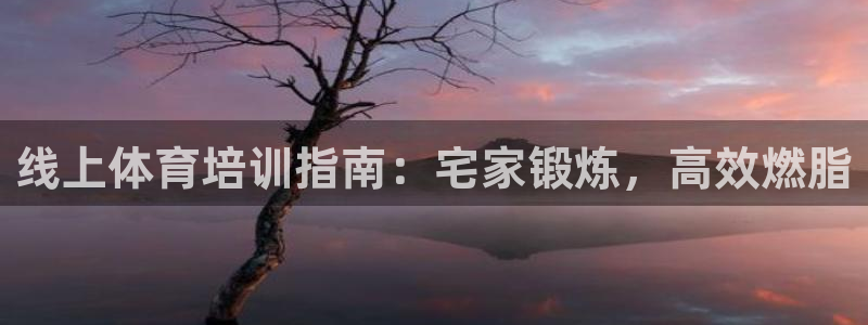 尊龙t400和尊龙t300区别：线上体育培训指南：宅