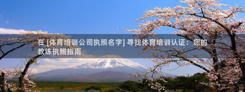 尊龙凯时logo：在 [体育培训公司执照名字] 寻找