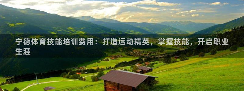 尊龙人品怎么样：宁德体育技能培训费用：打造运动精英，