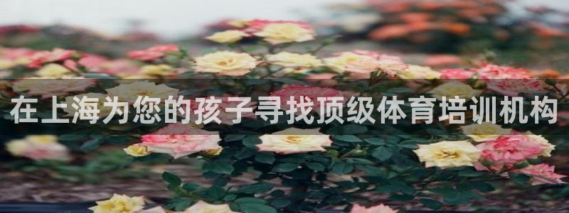 尊龙 5