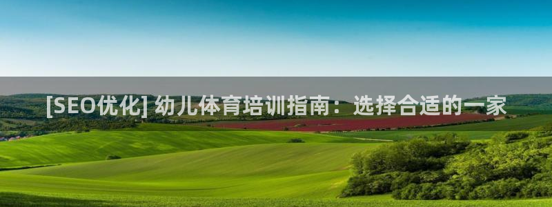 尊龙网站下分慢：[SEO优化] 幼儿体育培训指南：选