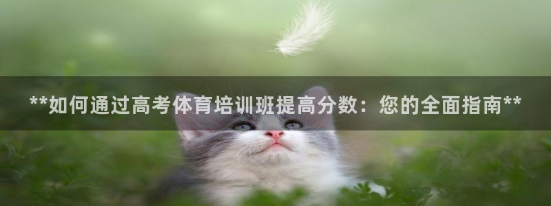 尊龙凯时麻将胡了：**如何通过高考体育培训班提高分数
