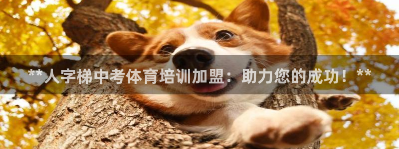 AG尊龙注册在线游戏