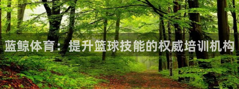尊龙最近一次露面：蓝鲸体育：提升篮球技能的权威培训机
