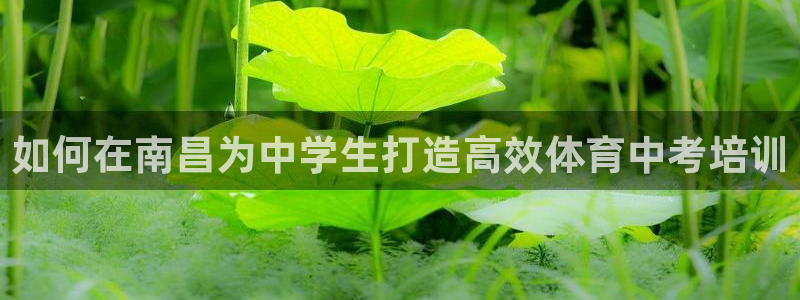 尊龙官方：如何在南昌为中学生打造高效体育中考培训