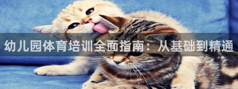 尊龙集团官网：幼儿园体育培训全面指南：从基础到精通