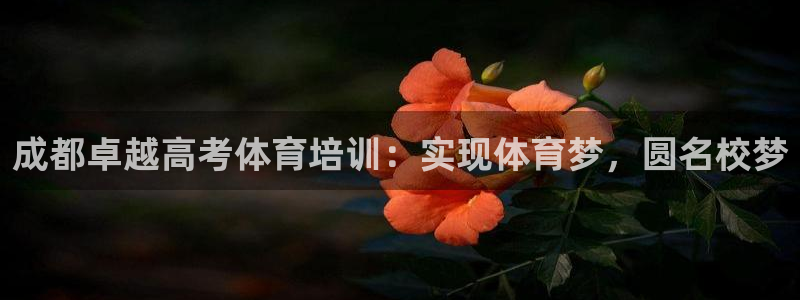 凯时效果怎么样：成都卓越高考体育培训：实现体育梦，圆