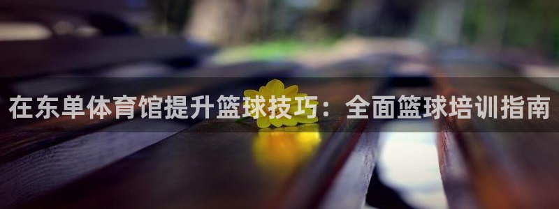 尊龙人生就是博旧版：在东单体育馆提升篮球技巧：全面篮