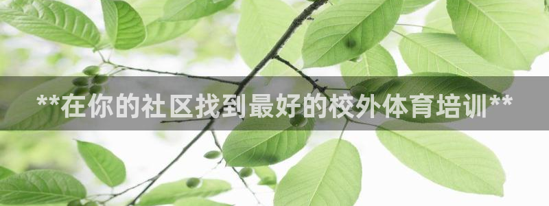 尊龙d88ag旗舰厅：**在你的社区找到最好的校外体