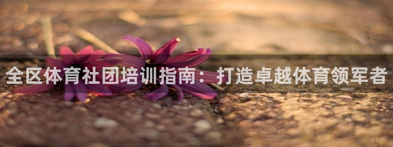 尊龙z6集团：全区体育社团培训指南：打造卓越体育领军