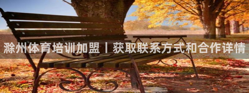 尊龙t600：滁州体育培训加盟丨获取联系方式和合作详