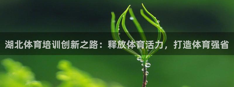 尊龙凯时美金能提取吗：湖北体育培训创新之路：释放体育活力，打