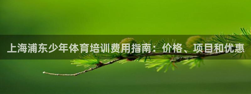 尊龙凯时人生就是搏技术实力：上海浦东少年体育培训费用