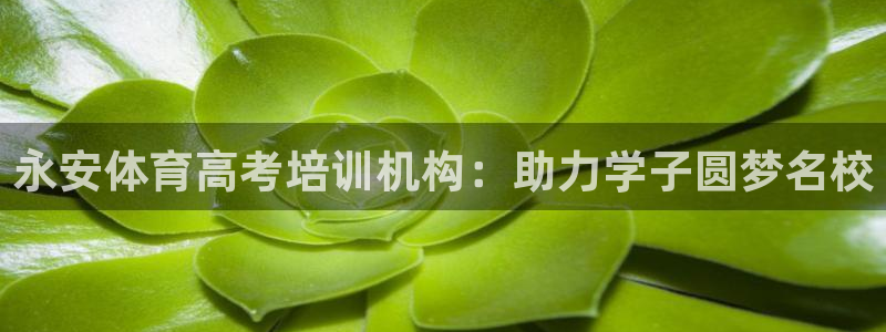 尊龙ag旗舰厅登陆：永安体育高考培训机构：助力学子圆