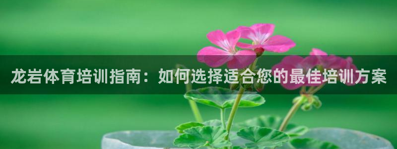 尊龙人生就是博旧版现：龙岩体育培训指南：如何选择适合