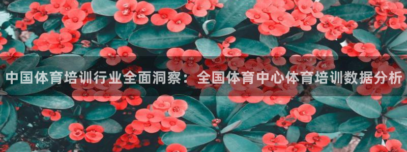 尊龙凯时官方网页：中国体育培训行业全面洞察：全国体育