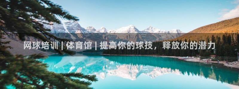 尊龙凯时人生就博：网球培训 | 体育馆 | 提高你的球技，释