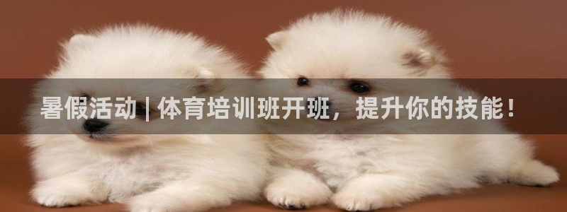 凯时赢来就送38：暑假活动 | 体育培训班开班，提升