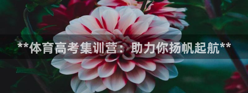 尊龙凯时提现不了：**体育高考集训营：助力你扬帆起航