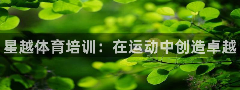 尊龙d88皆选ag发财网：星越体育培训：在运动中创造