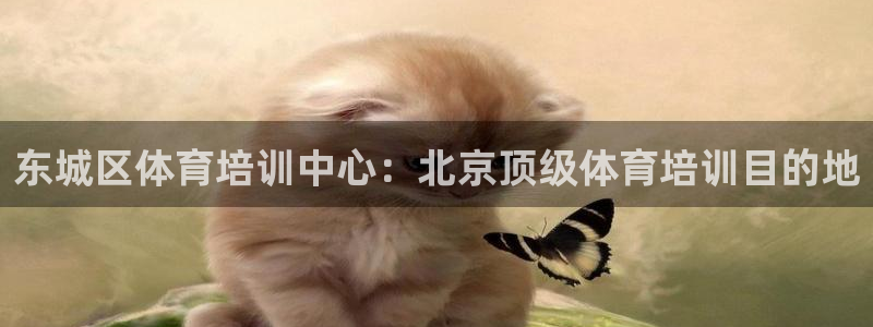 尊龙app注册官网：东城区体育培训中心：北京顶级体育