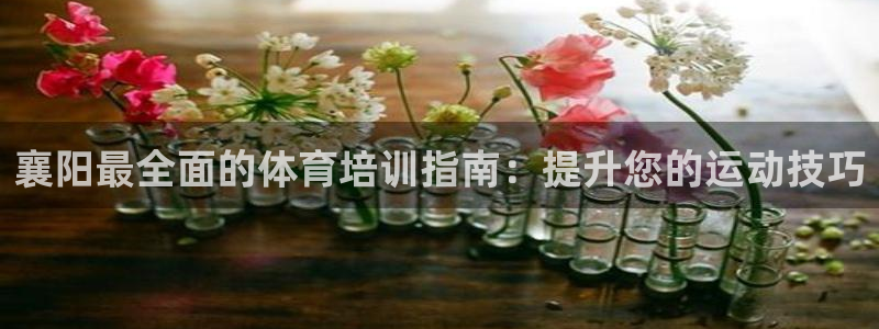 尊龙d88官网新版