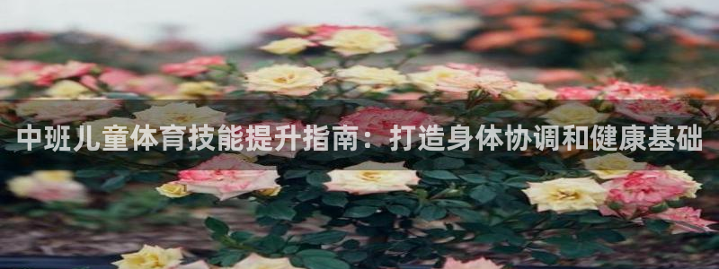尊龙专访：中班儿童体育技能提升指南：打造身体协调和健康基础