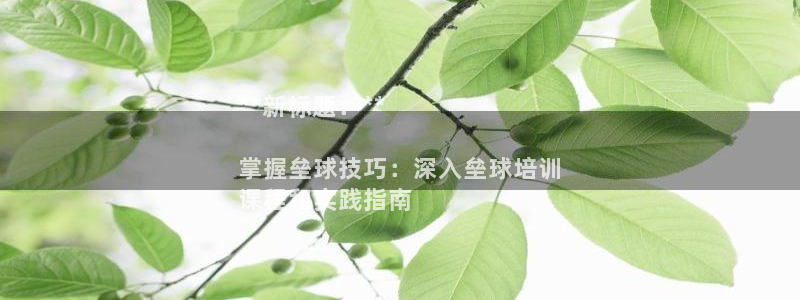 z6尊龙平台是哪里的：**新标题：**

掌握垒球技