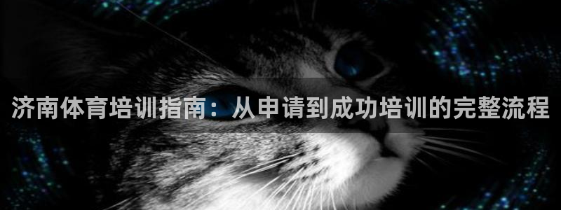 尊龙凯时提现不了：济南体育培训指南：从申请到成功培训
