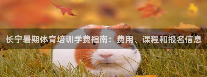 尊龙凯时人生就是搏·(中国)官网：长宁暑期体育培训学
