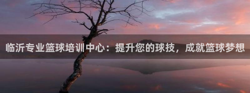 尊龙凯时链接：临沂专业篮球培训中心：提升您的球技，成