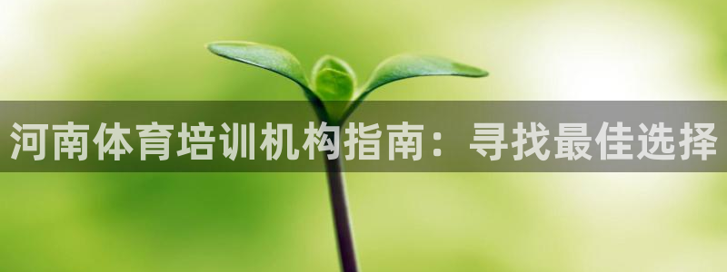 凯时国际app首页登录：河南体育培训机构指南：寻找最佳选择