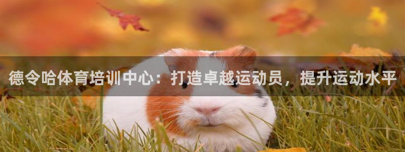 凯时网址多少：德令哈体育培训中心：打造卓越运动员，提升运动水