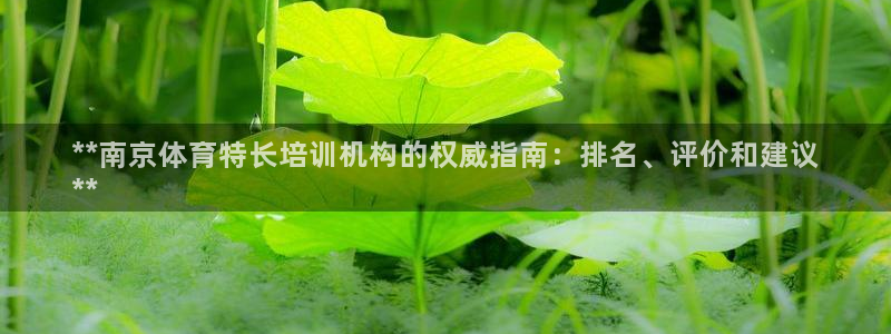 尊龙凯时官网入口：**南京体育特长培训机构的权威指南