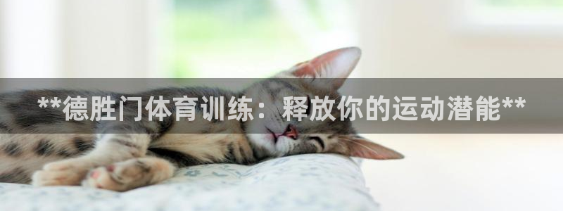 凯时平台登录：**德胜门体育训练：释放你的运动潜能**