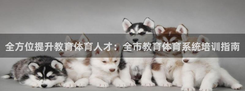 尊龙d88用现推选ag发财网：全方位提升教育体育人才：全市教