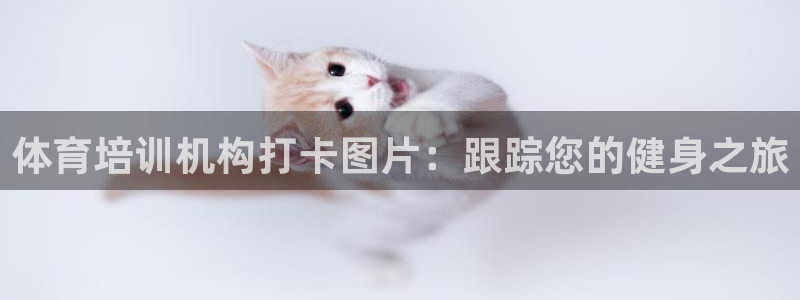 尊龙凯时提款冻卡吗：体育培训机构打卡图片：跟踪您的健