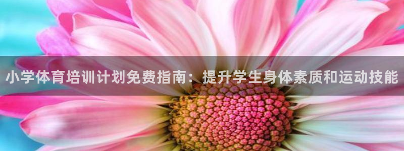 尊龙凯时平台入口：小学体育培训计划免费指南：提升学生