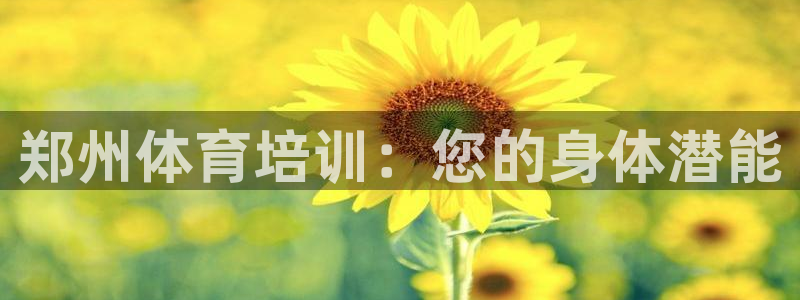 尊龙人生就是博旧版现金娱乐一下：郑州体育培训：您的身