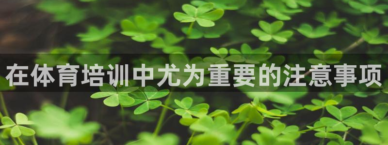 尊龙人生就是博网站下载：在体育培训中尤为重要的注意事
