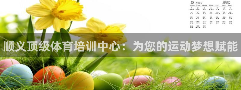 ag尊龙凯时集团：顺义顶级体育培训中心：为您的运动梦