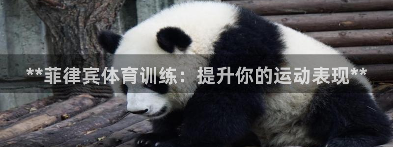 尊龙现金一下指导AG发财网：**菲律宾体育训练：提升