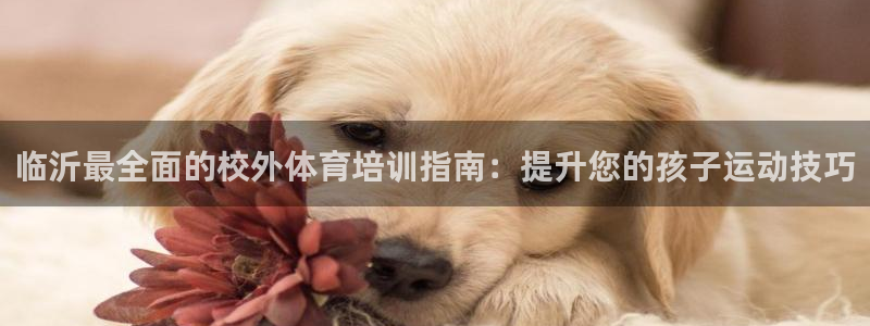 尊龙 5：临沂最全面的校外体育培训指南：提升您的孩子