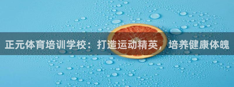 尊龙ktv怎么样：正元体育培训学校：打造运动精英，培